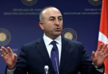 Cavusoglu: Ukupno 135 država tražilo od nas medicinsku opremu