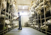 U Tuzli identifikovane još tri žrtve srebreničkog genocida