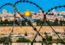 Uskoro osnivanje države Nova Palestina