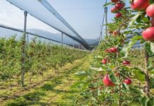 Oglašena druga prodaja Zemljoradničke zadruge Tutin