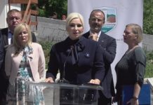 Mihajlović: Jasno opredeljenje Srbije je put u EU