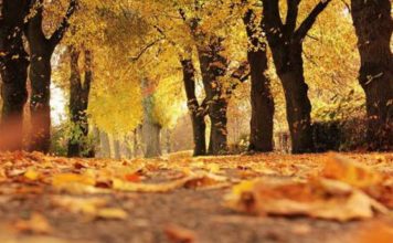 Sutra kalendarski počinje jesen