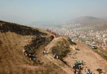 Počelo pošumljavanje brda Tepe