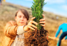 Forum mladih SDP-a i omladinci Centra ,,Duga,, novim sadnicama oplemenili Tepe