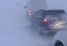 Grbović: Na Pešteri smo evakuisali ljude iz 70 zavejanih vozila