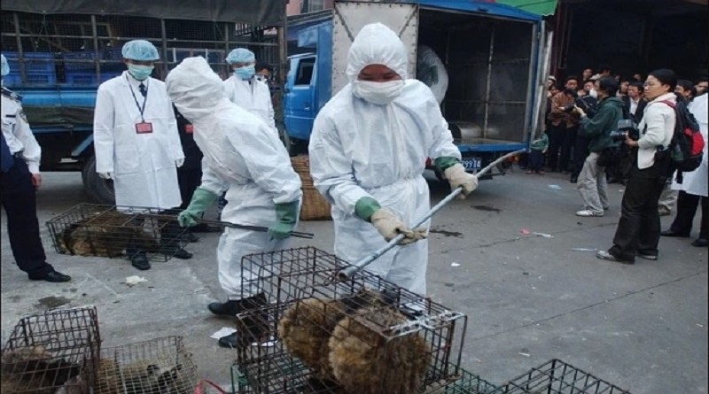 Kina: Novčane kazne za one koji budu konzumirali divlje životinje