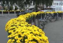 PAZAR SE VRAĆA U NORMALU! Sve je spremno za uređenje grada!