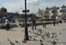 U Novom Pazaru 88 zaraženih, u Raški i Tutinu po pet