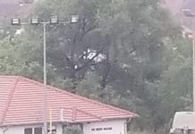 NOVI PAZAR: Pronađeno telo muškarca sa prerezanim vratom novi-pazar:-pronadjeno-telo-muskarca-sa-prerezanim-vratom