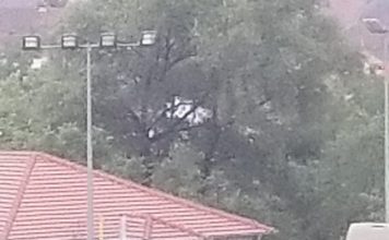 NOVI PAZAR: Pronađeno telo muškarca sa prerezanim vratom novi-pazar:-pronadjeno-telo-muskarca-sa-prerezanim-vratom