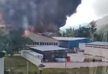 VATROGASCI SE IZBORILI SA STIHIJOM U POLIESTER GRUPI vatrogasci-se-izborili-sa-stihijom-u-poliester-grupi