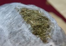 Ribariće: Policija zaplenila preko 80 kilograma marihuane ribarice:-policija-zaplenila-preko-80-kilograma-marihuane