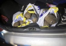 HAPŠENJA U BEOGRADU I NA AUTO-PUTU! Zaplenjeno 20 kilograma marihuane (FOTO) hapsenja-u-beogradu-i-na-auto-putu!-zaplenjeno-20-kilograma-marihuane-(foto)