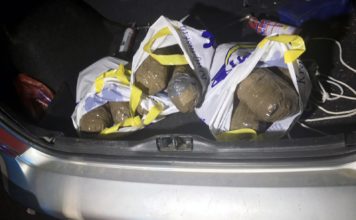 HAPŠENJA U BEOGRADU I NA AUTO-PUTU! Zaplenjeno 20 kilograma marihuane (FOTO) hapsenja-u-beogradu-i-na-auto-putu!-zaplenjeno-20-kilograma-marihuane-(foto)