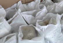 GRADINA: Preko 200 kilograma marihuane u „bunkerima“ kampera (FOTO/VIDEO) /-/indeksonline.rs/-/-gradina:-preko-200-kilograma-marihuane-u-„bunkerima“-kampera-(foto/video)