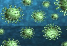 Pištaljke i povici u krugu Kovid centra pistaljke-i-povici-u-krugu-kovid-centra