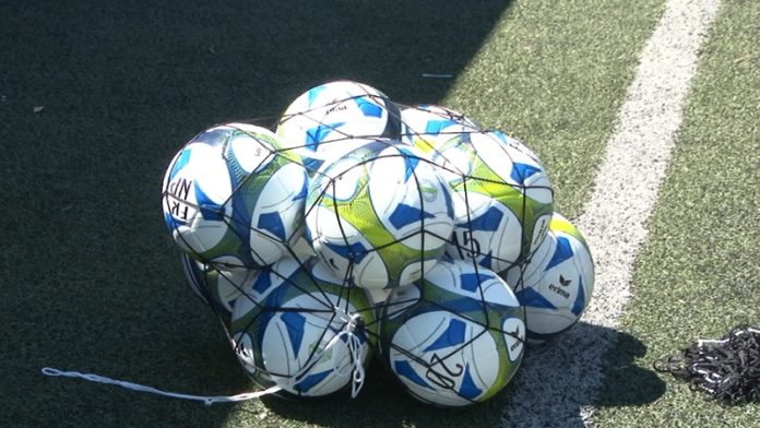 prijatelji-iz-dortmunda-poslali-lopte prijatelji-iz-dortmunda-poslali-lopte