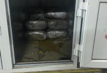 Zaplenjeno 20 kilograma marihuane, uhapšen Ulcinjanin -zaplenjeno-20-kilograma-marihuane,-uhapsen-ulcinjanin