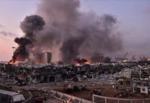 Ambasador Elfić: U Bejrutu nema povređenih državljana Srbije ambasador-elfic:-u-bejrutu-nema-povredjenih-drzavljana-srbije