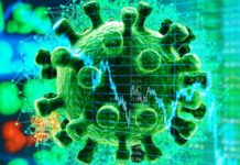 U Srbiji preminulo još devet osoba, 295 novozaraženih u-srbiji-preminulo-jos-devet-osoba,-295-novozarazenih