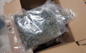 Somborska policija zaplenila 12,6 kilograma marihuane -somborska-policija-zaplenila-12,6-kilograma-marihuane