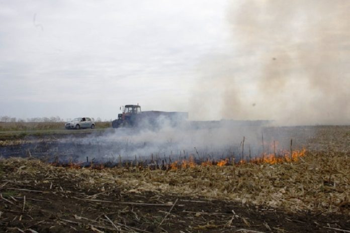 visoke-kazne-za-spaljivanje-strnista
