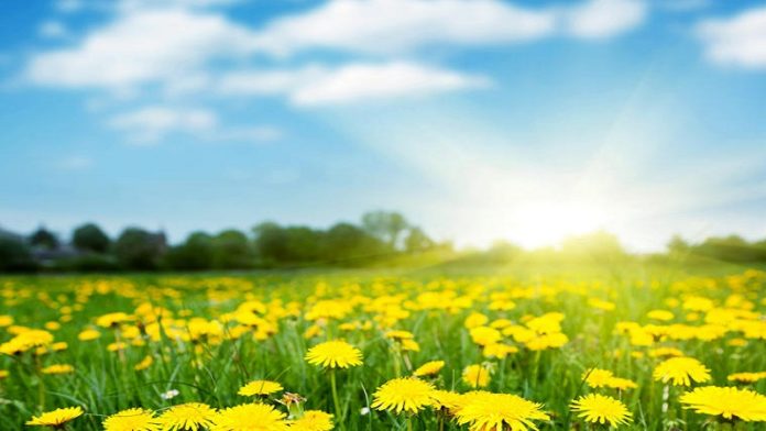 meteorolozi-upozoravaju:-stize-tropski-talas-u-srbiju!-objavljena-prognoza-do-sredine-septembra