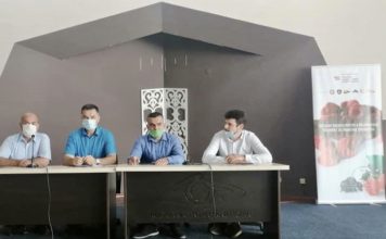 Grad Novi Pazar podržava proizvodnju domaće maline -grad-novi-pazar-podrzava-proizvodnju-domace-maline