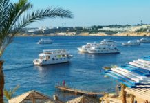 OD 1. SEPTEMBRA I ZA ODLAZAK U EGIPAT POTREBAN NEGATIVAN PCR TEST! od-1.-septembra-i-za-odlazak-u-egipat-potreban-negativan-pcr-test!