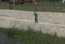 U toku zaprašivanje larvi komaraca u-toku-zaprasivanje-larvi-komaraca