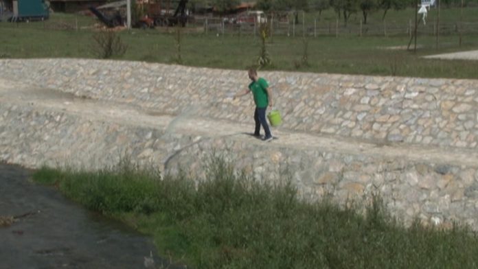 u-toku-zaprasivanje-larvi-komaraca