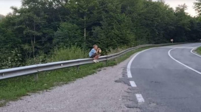 kada-pomislite-da-je-vama-najteze,-ovom-decaku-u-bih-oteli-su-kupine-koje-prodaje-pored-puta