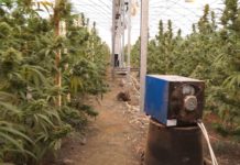 Nastavljeno pripremno ročište za “Jovanjicu” -nastavljeno-pripremno-rociste-za-“jovanjicu”