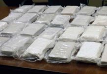 U Grčkoj otkriveno više od 100 kg kokaina na putu za Italiju -u-grckoj-otkriveno-vise-od-100-kg-kokaina-na-putu-za-italiju