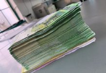 Carinici sprečili krijumčarenje skoro 50.000 evra -carinici-sprecili-krijumcarenje-skoro-50.000-evra