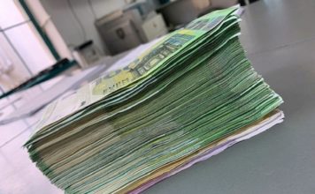 Carinici sprečili krijumčarenje skoro 50.000 evra -carinici-sprecili-krijumcarenje-skoro-50.000-evra