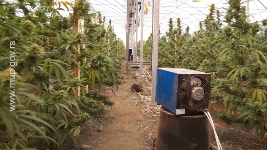 -produzen-pritvor-koluviji-i-ostalima-za-jos-60-dana