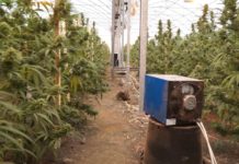 Produžen pritvor Koluviji i ostalima za još 60 dana -produzen-pritvor-koluviji-i-ostalima-za-jos-60-dana