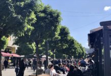 Za 24 sata više od 100 žalbi na kršenje preventivnih mera -za-24-sata-vise-od-100-zalbi-na-krsenje-preventivnih-mera