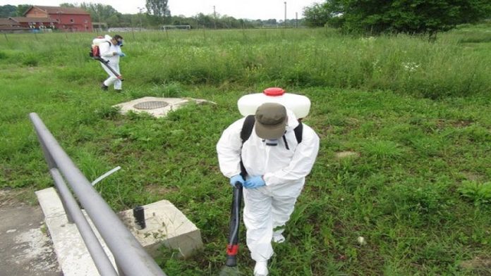 spas-za-alergicne:-evo-kada-ce-alergicni-na-ambroziju-u-srbiji-konacno-moci-da-odahnu spas-za-alergicne:-evo-kada-ce-alergicni-na-ambroziju-u-srbiji-konacno-moci-da-odahnu