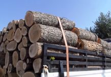 Mnogo je načina grejanja a najbolji je onaj besplatni mnogo-je-nacina-grejanja-a-najbolji-je-onaj-besplatni