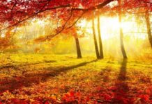 Danas počinje jesen danas-pocinje-jesen