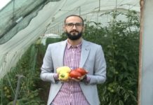 Da bi se isplatila proizvodnja povrća u plastenicima kupujmo domaće da-bi-se-isplatila-proizvodnja-povrca-u-plastenicima-kupujmo-domace