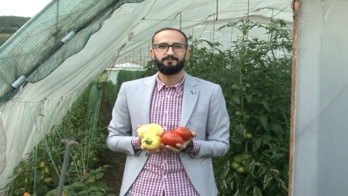 da-bi-se-isplatila-proizvodnja-povrca-u-plastenicima-kupujmo-domace