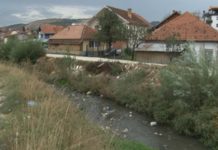 Volonteri u subotu čiste korito Trnavice volonteri-u-subotu-ciste-korito-trnavice