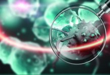 DVA MILIONA evra za 14 projekta o kovidu-19 dva-miliona-evra-za-14-projekta-o-kovidu-19