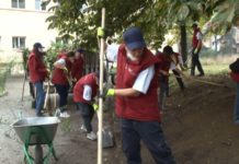 Volonteri raščišćavali krug Opšte bolnice volonteri-rasciscavali-krug-opste-bolnice