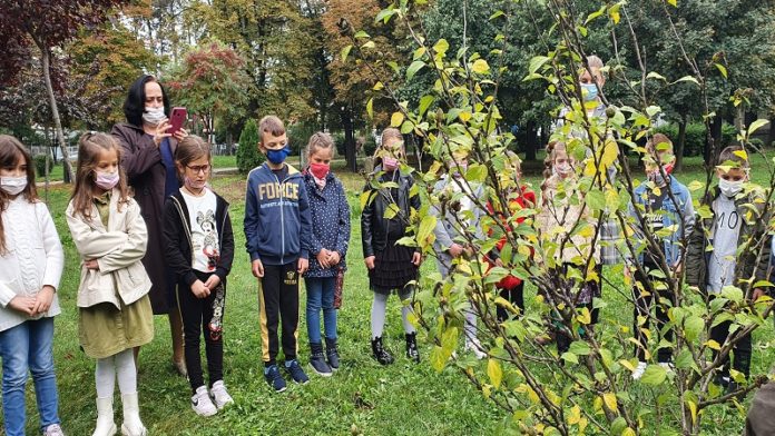 malisani-zasadili-drvo-generacije malisani-zasadili-drvo-generacije