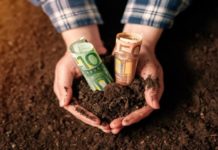 “Mladima bespovratno 15.000 evra”; DFC-u predložena tri važna projekta “mladima-bespovratno-15.000-evra”;-dfc-u-predlozena-tri-vazna-projekta