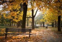 Vrijeme u ponedjeljak: Nakon hladnog jutra toplo tokom dana vrijeme-u-ponedjeljak:-nakon-hladnog-jutra-toplo-tokom-dana